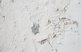 We did not find results for: Grunge Background Texture From An Old White Concrete Wall