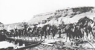 Although they rarely travelled faster than the walking speed of a person. Egyptian Camel Transport Corps Wikiwand