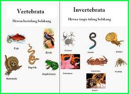 Lengkap Contoh Hewan Vertebrata Dan Invertebrata Dunia Fauna Hewan Binatang Tumbuhan Dunia Fauna Hewan Binatang Tumbuhan