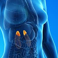 Leptin receptor neurons in the mouse hypothalamus are colocalized with the  neuropeptide galanin and mediate anorexigenic leptin action