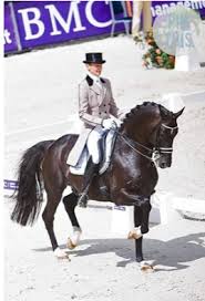 Different software use different scales. Wait Can You Wear That Color Horse Sage