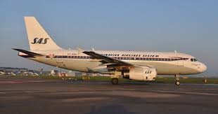 Oy Kbo A319 Sas Retro Scandinavian Airlines System Vintage Aviation Aviation History