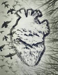 Nature Heart Corazones Dibujos Ilustraciones