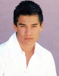 Os Vitoriosos de Panem