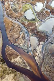 Peintures D Hiver Sur Le Bassin D Arcachon Bassindarcachon Sudouest Explore Natgeo Winter Leyre Leteich Bigano Bassin D Arcachon Gironde Le Teich