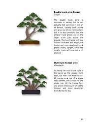 Written by colin lewis, this new pyramid publication is. Recommended Bonsai Books Bonsai Empire