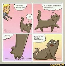 Found On Ifunny Cat Memes Funny Cat Memes Funny Cats
