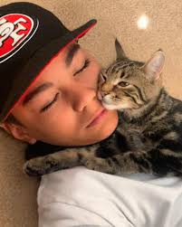 I deal with anxiety and depression every day and after months of waiting  for the landlord to say yes we finally were allowed to get a cat, I did not  plan on