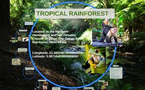Latitude and longitude form our coordinate system grid. Tropical Rainforest By Shelby Andersen