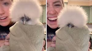 Laughing Squid blog posts written by Lori Dorn