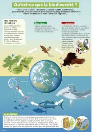 Pin By Vaiura Sorin On College Educational Infographic Science For Kids Science And Nature