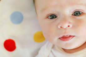 jackson close-up with crop web