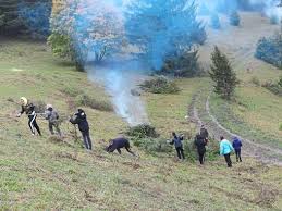 Unser aktuelles angebot in den verschiedenen arbeitsbereichen: Burladingen Haus Nazareth Unterstutzt Bei Naturpflege Killertal Burladingen Schwarzwalder Bote