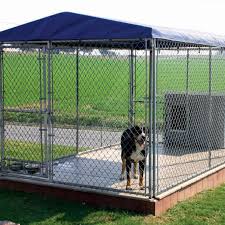 We did not find results for: Outdoor Dog Shelters Off 58 Www Usushimd Com