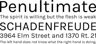 If you are seeing this message, you probably have an ad blocker turned on. Font Squirrel Karmilla Font Free By Greyscale Press