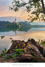 Slowenien Slowenien Urlaub Zu Den Bekanntesten Ikonen Sloweniens Die Unzahlige Male Um Die Welt Kre With Images Lake Bled Amazing Travel Destinations Lake Bled Slovenia