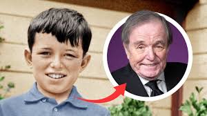 Jerry Mathers