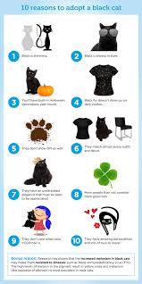 Use our dog adoption checklist to make sure you have all understanding black dog and black cat myths. Why We Love Black Cats