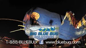 Big blue bug solutions has been providing reliable worcester pest control services since 1935. Big Blue Bug Solutions Youtube
