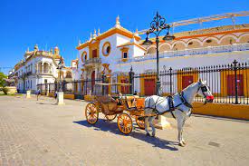 We did not find results for: Visiter Les Arenes De Seville Plaza De Toros De La Real Maestranza
