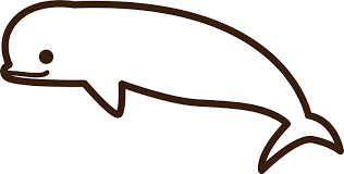 Download 1,203 shark black white outline stock illustrations, vectors & clipart for free or amazingly low rates! Beluga Whale Outline Clipart Free Download Transparent Png Creazilla