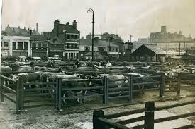 Link opens in new tab. It Was Newcastle S First Armed Bank Robbery Newcastle Upon Tyne Newcastle Old Pictures