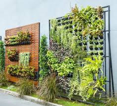 1001 Idees D Amenagement D Un Jardin Balcon Ou Terrasse Avec Un Mur Vegetal Exterieur Mur Vegetal Exterieur Mur Vegetal Jardins Verticaux