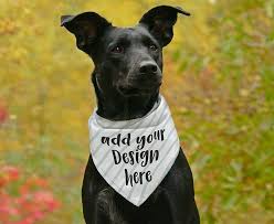 Jpg Psd Pet Bandana Mockup Flat Template Mockupdog Dye Etsy In 2020 Psd Mockup Pet Bandana