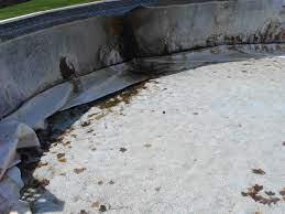 Check spelling or type a new query. How Anyone Can Take Down An Above Ground Swimming Pool Dengarden