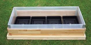 Making a tortoise table for your cute tortoise. Tortoise Trust Web Building A Tortoise Table