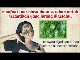 We did not find results for: Masker Alami Untuk Menghilangkan Jerawat Dan Bekasnya Dari Daun Suruhan Daun Sirih Cina Youtube
