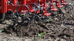 That is our shared objective. 4th Annual Midwest Mechanical Weed Control Field Day Episode 3 The First Encounter Practical Farmers Of Iowa