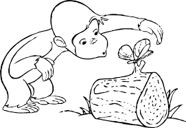 Immagini Da Disegnare Per Bambini Con Disegni Da Colorare Per Bambini Bellissimi Disegni Da Colorare E Scimmiett Disegni Da Colorare Bellissimi Disegni Disegni