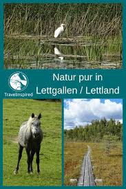 Den här bilden föreställer natur, vatten, vattenfall. Lettland Roadtrip Natur Pur In Lettgallen Lettland Abenteuerreisen Europa Reisen