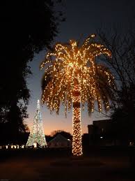 We Love A Well Lit Christmas Palm And This One Is Especially Beautiful Outdoor Christmas Lights Florida Christmas Christmas Palm Tree