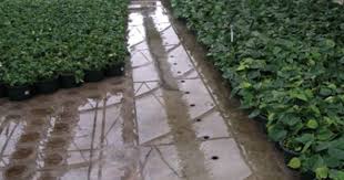 Flood Floor 1 Greenhouse Benches Greenhouse Flood
