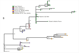 I do not say this lightly, but the delta. Emergence Of Resistant Sars Cov 2 Variant In Immunocompromised Patient Following Therapeutic Antibody Use