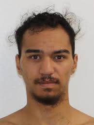 Reece Green, Robert Lia, Kaiia Dearlove and more are all wanted by police  in the Casey area.