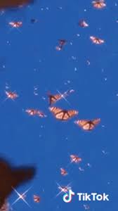Butterfly Pretty Gif Butterfly Pretty Aesthetic Discover Share Gifs Monarch butterflies are especially popular in this aesthetic. butterfly pretty gif butterfly pretty aesthetic discover share gifs