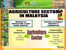 Razi vaccine and serum research institute. Overview Of Agriculture Sector In Malaysia