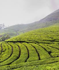 260 Devan Stock Photos