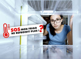 Comparé au réfrigérateur à froid brassé, le réfrigérateur à froid ventilé, également appelé « no frost », possède un système plus performant de réfrigération. Refrigerateur No Frost Ventile Ou Frigo A Froid Brasse Que Choisir