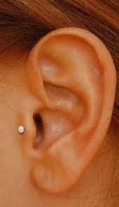 Venus By Maria Tash Providing The Best Piercing Nyc Offers Clean Piercings Ear Piercings Tragus Piercings Cute Piercings