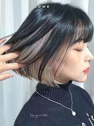 45 Korean Secret Two Tone Hair Color Ideas You Should Try In 2021 In 2021 Korean Hair Color Kpop Hair Color Hair Color Underneath