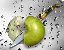8 Grunde Warum Du Apfel Essen Solltest