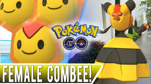 how to find a female combee to evolve vespiqueen in pokemon go