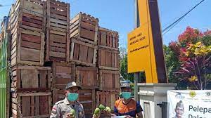 Kata ini berasal dari bahasa latin, yakni hortus atau. Karantina Tarakan Kawal Terus Ekspor Di Perbatasan 17 Ton Produk Hortikultura Diekspor Ke Malaysia Tribun Kaltara