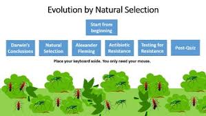 Dichotomous key blank.doc view download. Evolution By Natural Selection Interactive Tutorial By Beverly Biology