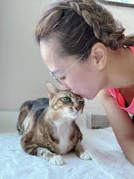 Support and Grief for Loss of Beloved Pet Tiger