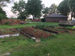 Kale needs rich soil to grow to its full potential. Wanting To Share A Homestead In The Missouri Ozarks Intentional Community Forum At Permies